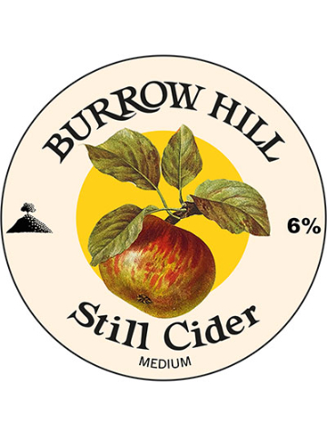 Burrow Hill - Medium Cider