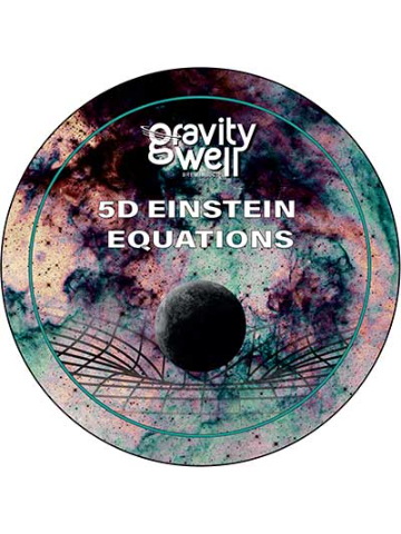 Gravity Well - 5D Einstein Equations