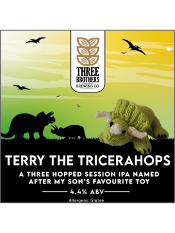 Three Brothers - Terry The Triceratops